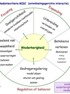 Vervolgtraining MISC (groeien doe je samen) Prof. P. Klein