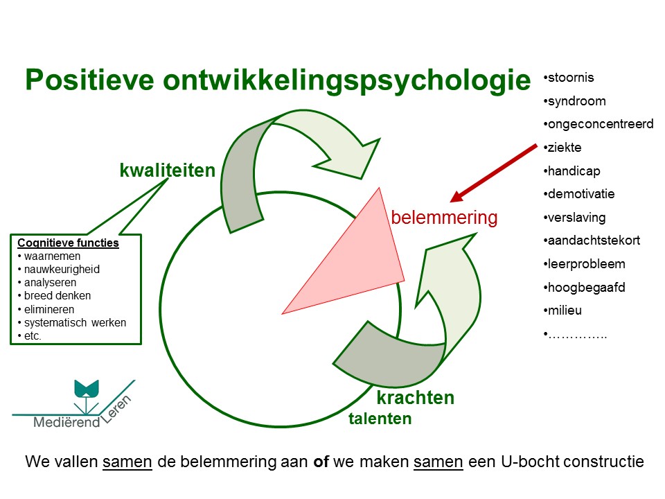 Mediërend Leren module 3 (Mastertraining de eigen talenten en mogelijkheden centraal)