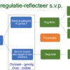 Emotieregulatie in schema positef en negatief Emotieregulatie
