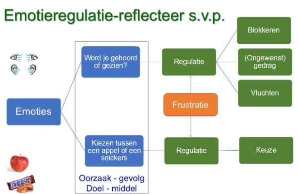 Emotieregulatie in schema positef en negatief Emotieregulatie