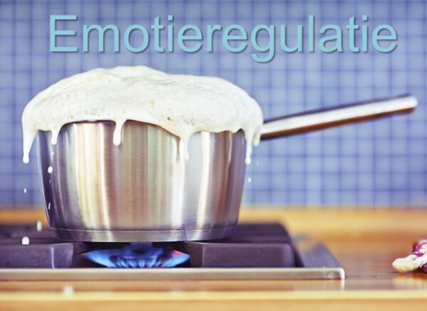 Emotieregulatie melkpan Aanbieding: Bestel twee webinars!