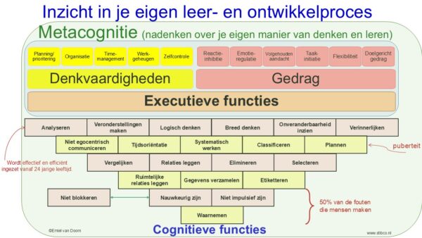 Cognitieve functies in relatie tot executieve functies en metacognitie