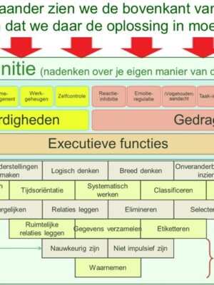 Cognitieve functies in relatie tot executieve functies en metacognitie