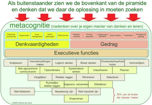 Cognitieve functies in relatie tot executieve functies en metacognitie