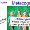 Meest simpele defintie van metacognitie-1 Gedragsregulatie en -controle