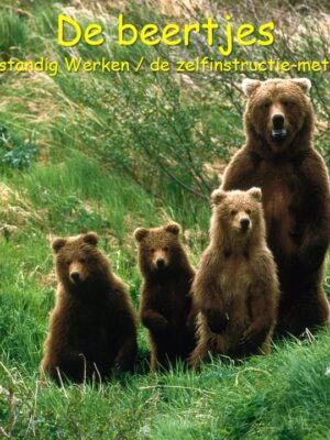 Zelfinstructiemethode van Meichenbaum (metacognitie)